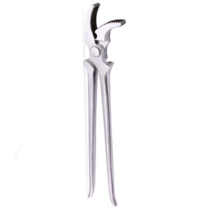 Vente en gros d'outils de ferrage pour chevaux en acier inoxydable de haute qualité Ilfas Industries, instruments vétérinaires - Product Image 1