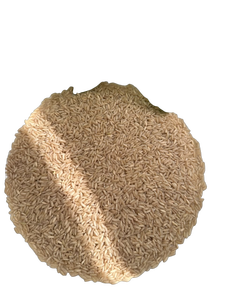 Arroz Integral de Grano Largo Marrón Seco de Dong Thap, Cosecha 2026, Sunrise Ins LTD - Product Image 1