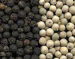 Raw Dried White Pepper and Coriander Seeds Whole Round Spices Vietnam GT7 Single Herbs &amp; Spices Variety - Product Image 4