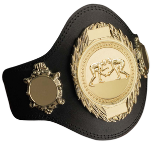 Cinturón de Campeonato de Lucha Libre WWW, Diseño Dorado, Calidad Premium, Cinturón de Título en Blanco, Edición de Coleccionista, Cinturones Deportivos - Product Image 2
