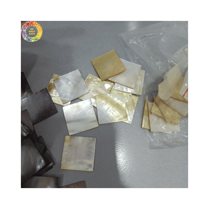 เปลือกหอยมุกธรรมชาติสำหรับตกแต่งเฟอร์นิเจอร์ - Product Image 3