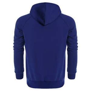 Sweat-shirt à capuche pour homme, color-block, manches raglan, décontracté, bleu et blanc, coupe classique, pour l'automne, en tricot polyester et coton - Product Image 2