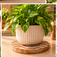 Sous-plats ronds en bois pour plats chauds et casseroles, support de pot moderne ondulé, antidérapant, résistant à la chaleur, pour casseroles, 8 pouces, blanc vieilli