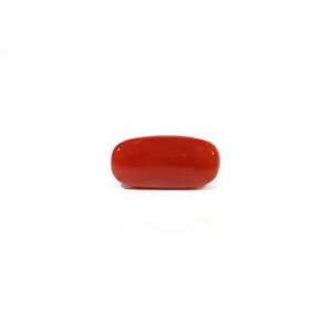 Natural Red Coral Oval Cabochon Loose Gemstone 4.8 Carat Certified Wholesale - Product Image 2