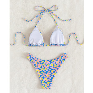 Conjunto de Bikini de Dos Piezas con Estampado de Leopardo para Mujer, Sexy y Personalizado, con Características Antibacterianas y Ecológicas, Logotipo Frontal - Product Image 2