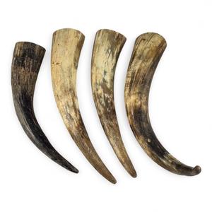 Assortiment de cornes de vache naturelles brutes avec courbes organiques pour la fabrication artisanale, la sculpture et les commandes en gros - Product Image 4