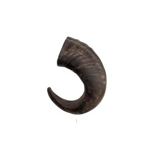 Corne de buffle : Matériau naturel abordable pour l'artisanat, la fabrication de manches de couteau et la décoration - Product Image 4