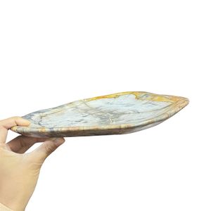 Premium Polished Round Petrified <b>Wood</b> Plate <b>Wood</b> <b>Slice</b> for Table Decor Interior Decoration - Product Image 3