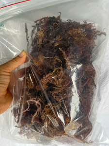 สาหร่ายทะเลอบแห้งปรุงรส ยี่ห้อขายดีที่สุด เป็นมิตรต่อสิ่งแวดล้อม อุดมด้วยโอเมก้า 3 ช่วยเพิ่มความชุ่มชื้นเพื่อสุขภาพที่ดีในทุกๆ วัน และบำรุงผิวด้วยสารสกัดจากธรรมชาติ บรรจุในถุง - Product Image 5