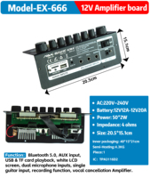 EX 666 12V Stereo Amplifikatör Kartı 50W*2 TPA3116D2 Çift Mikrofon Gitar Girişi USB TF AUX Kayıt Vokal İptal Güç Amplifikatörü Modülü