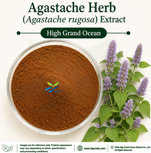 Extracto de <span class=keywords><strong>Agastache</strong></span> (<span class=keywords><strong>Agastache</strong></span> rugosa) de Grado Alimenticio, Suministro Directo de Fábrica HGO, en Ratios 4:1, 5:1, 10:1, 20:1, 100:1, 200:1 - Product Image 1