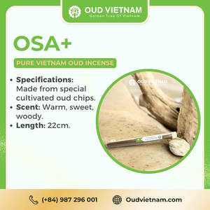 Bâtons d'encens d'agarwood du Vietnam de qualité supérieure, 22 cm, Oud pur en vrac, 1 kg - OSA Plus - Product Image 5