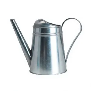 Arrosoir élégant et moderne en argent pour la décoration artisanale des plantes d'intérieur et suspendues par Axiom Home Accents Design - Product Image 1