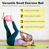 Ballon de yoga et de Pilates en PVC Soma Equip Practice Instructor Frosted pour l'équilibre, le levage des hanches et le fitness