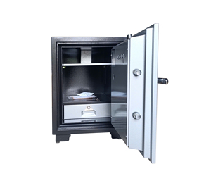 Caja Fuerte para Oficina Hoshang HS-69E, Impermeable, con Recubrimiento en Polvo, Construcción Antioxidante, Sistema de Bloqueo con Llave y Contraseña, Fabricada en Vietnam - Product Image 5
