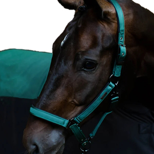Sunrise Equine Industries - Halteurs pour chevaux en nylon réglables, style corde violette, équipement équestre - Vente en gros d'halteurs pour chevaux - Product Image 2