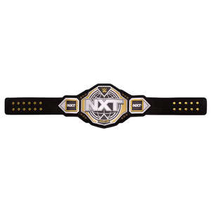 เข็มขัดแชมป์แบบกำหนดเองระดับมืออาชีพ คุณภาพพรีเมียมสำหรับศิลปะการต่อสู้ ทนทานแข็งแรง - Product Image 4