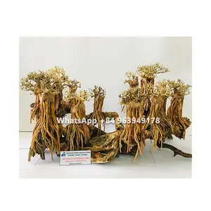 Bonsai driftwood aquário artificial plantas para aquário, decoração de água doce, whatsapp: + 84 961005832