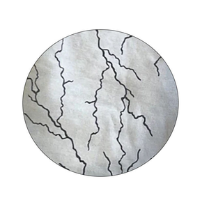 กางเกงยีนส์ขาสั้นเอวสูงทรงโออีเอ็ม ผลิตจากผ้าฝ้ายรักษ์โลก ล้างสีแบบแอซิดวอช เอวยางยืด พิมพ์ลายโลโก้ด้านหน้าด้วยเทคนิคซับลิเมชั่น สไตล์สตรีทแวร์สำหรับผู้ชาย - Product Image 3