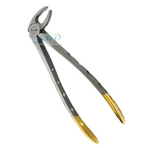 Pinzas Dentales Profesionales de Acero Inoxidable, Herramientas de Cirugía para Extracción de Dientes, Pinzas Dentales de Alto Rendimiento - Product Image 2