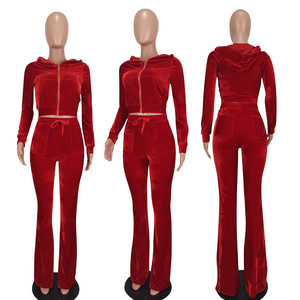 Ensemble de survêtement en velours uni pour femmes, avec capuche, fermeture éclair sur le devant, décontracté, pour l'automne, avec poches latérales - Product Image 3