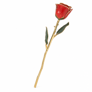 Rosa Preservada en Oro de 24K, Flor Real Bañada en Oro de 24K, Regalo de Flor Dorada Eterna de Lujo para el Día de San Valentín o Aniversario - Product Image 1