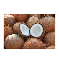 Premium gedroogde kokosnoot, half ontschilde, tropisch landbouwproduct voor export, beste merk kwaliteit
