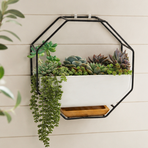 Maceta hexagonal moderna de metal para pared, maceta blanca de cerámica para suculentas, decoración minimalista para colgar en interiores y exteriores. - Product Image 1