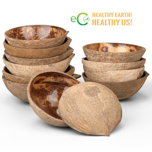 Tazones de media luna de cáscara de coco pulida para postres y helados, desechables, ecológicos, precio económico, de Eco2go - Product Image 1
