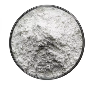 4-(Bromomethyl)-2 (1H)-Quinolinone Acid 99.9% High Purity White Crystalline Powder CAS 4876-10-2 Industrial Grade Intermediate - Product Image 1