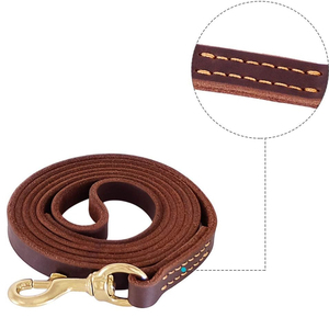 Correa de Cuero para Perro de Última Moda, Accesorios para Mascotas, Diseño Único, Correa de Cuero para Perro 2026, Correa de Cuero de Lujo a la Moda - Product Image 2