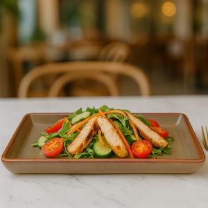 Healthy Grilled Chicken Salad on Rectangular <b>Ceramic</b> <b>Plate</b> Restaurant Style Sushi Plating for Food Decorative Dining Table - Product Image 1
