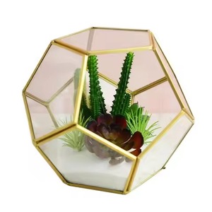 Contemporary Design Metal Terrarium Glass Planter Decorative Indoor Plant Holder Home Accent - Product Image 5