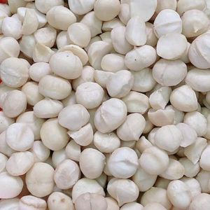 Nueces de Macadamia Orgánicas Secas Blanqueadas, Enteras, a Granel, Exportación al por Mayor, Alta Calidad, Empaque Personalizado para Distribuidores - Product Image 2