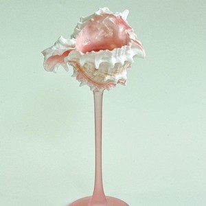 Verre à vin en verre et coquillage de mer de la plus haute qualité, conçu pour le confort et le style. Idéal pour les événements et fêtes à thème. - Product Image 4