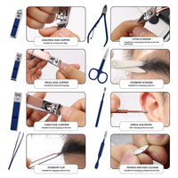 Kit de pédicure professionnel haut de gamme en acier inoxydable, outils 4-en-1, coupe-ongles léger et réutilisable, sac portable pour personnes âgées