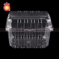 QUANG QUAN Contenedor de plástico PET transparente desechable Cajas transparentes sostenibles Uso de almacenamiento de tapa con bisagras-para almacenamiento de pasteles de frutas