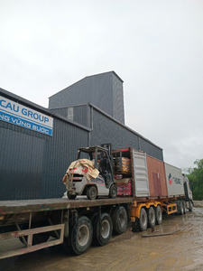 GREENFIX Mortier-colle cimentaire à forte adhérence pour la pose de carreaux de céramique en cuisine et salle de bain, gris, 12 mois - Product Image 5