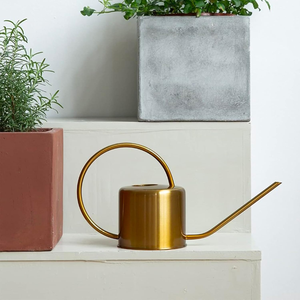 Arrosoir en métal pour plantes, 1,5 litre, arrosoir doré à long bec pour l'intérieur, l'extérieur, le jardin, la maison, le balcon, le bureau, décoratif - Product Image 4
