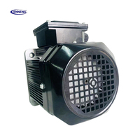 Motor Síncrono de Imán Permanente Trifásico Enneng de 4 Polos, 5.5-30KW, Protección IP55, Control Vectorial de Frecuencia Variable