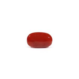 Natural Red Coral Beads 4.62 Carat Certified Wholesale Quality - Product Image 2