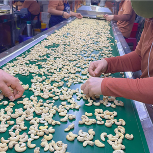 Noix de cajou du Vietnam en gros, qualité W180, noyaux de cajou du Vietnam grade WW320, Santigo Cashew Vietnam OEM, ODM - Product Image 1