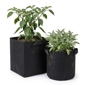 Bolsas de Cultivo Resistentes de 10 Galones, Calidad de Exportación, Tela No Tejida de 500 Micras de Grosor, Macetas con Asas para Cultivo Hidropónico - Product Image 6