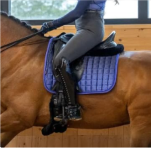 Tapis de selle de dressage haut de gamme |   Tapis de selle équestre matelassé carré |   Tapis d'équitation respirant OEM en gros - Product Image 2