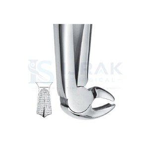 คีมถอนฟัน ฟันหน้าบน รากฟัน สแตนเลส เครื่องมือผ่าตัดแบบใช้มือ คลาส 1 - Product Image 4