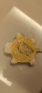 Juguete Natural de Lufa para Mascotas, Ecológico, para Perros y Gatos, Juguete Masticable para Limpiar los Dientes, en Forma de Hueso de Oso, Venta al por Mayor, ANGLE - Product Image 2