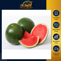 Premium verse watermeloen, zoet, sappig, vers fruit, rode vruchtvlees, grote maat, watermeloen groothandelslevering voor importeurs.