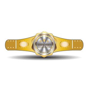 Cinturones de Campeonato de Lucha Libre en Oferta, Cinturones de Campeonato de Artes Marciales y Boxeo con Logotipo Personalizado OEM - Product Image 3