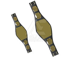 Ceinture de champion de lutte classique taille adulte pour les fans de lutte, édition collector.