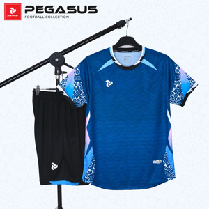 ชุดฟุตบอล OEM ODM แบบกำหนดเอง Pegasus สำหรับเด็ก แห้งเร็ว ระบายอากาศได้ดี ชุดฟุตบอล 100% โพลีเอสเตอร์ สีตัดต่อ สำหรับผู้ชาย ผู้หญิง และเด็ก - Product Image 2
